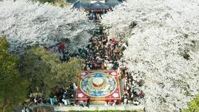 牛油果面包